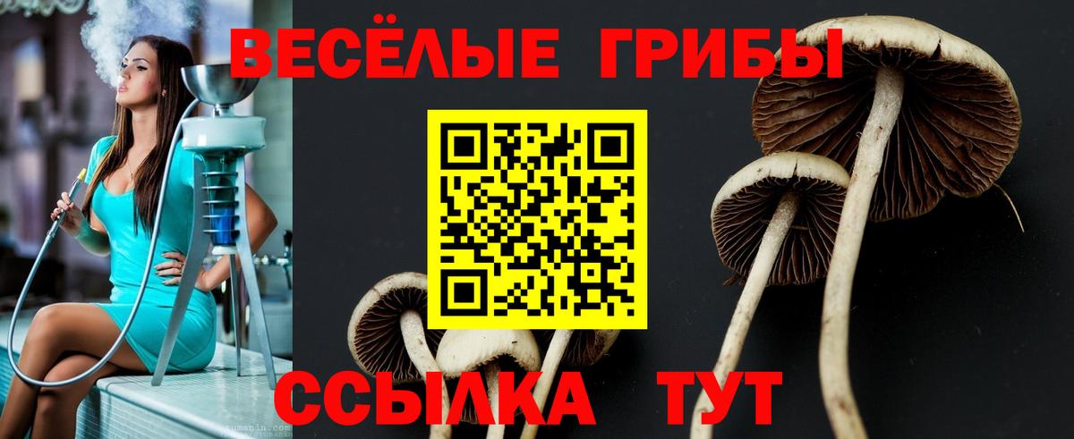 Нововоронеж  Псилоцибиновые грибы GOLDEN TEACHER  Галлюциногенные грибы Psilocybe  Вход с VPN 